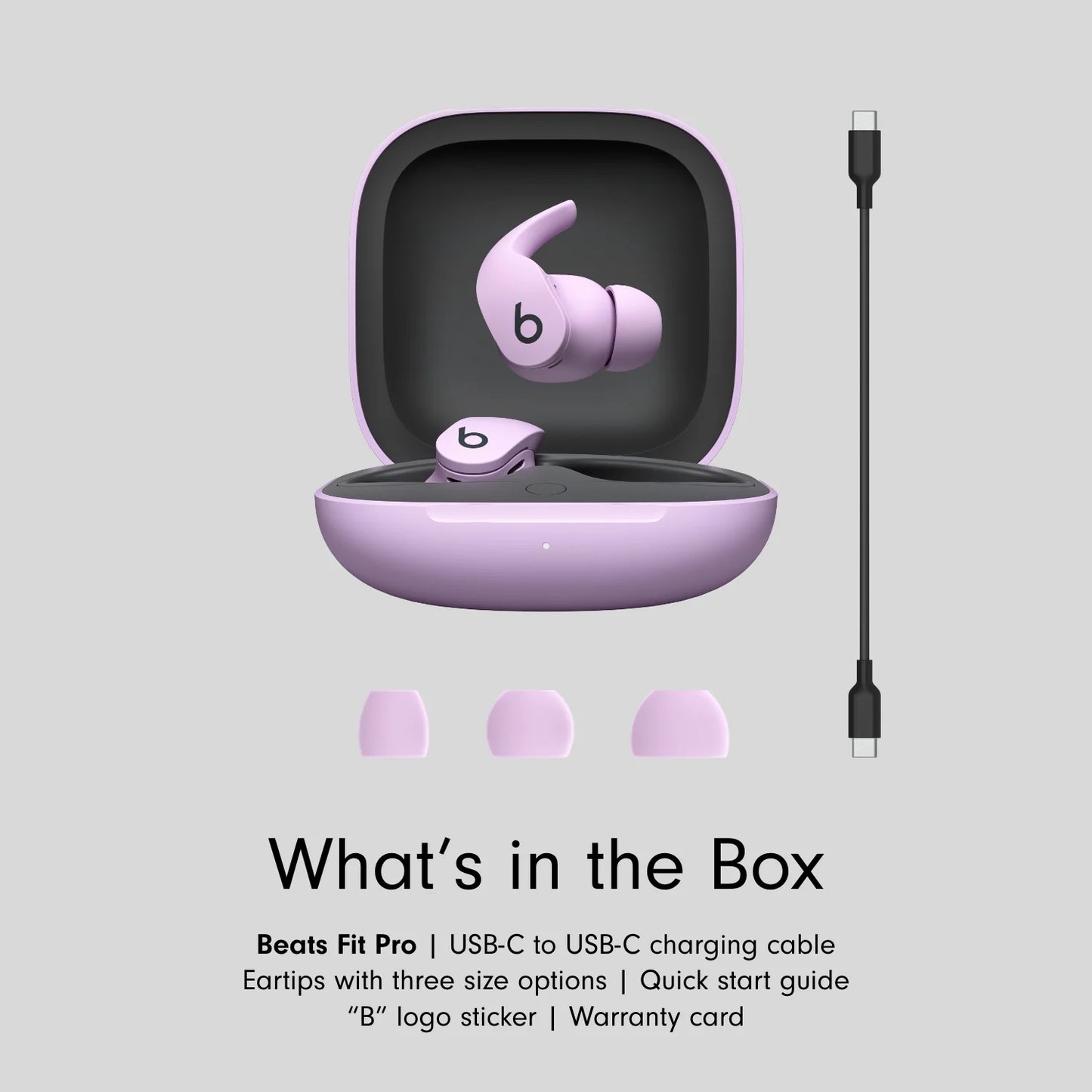 Beats Fit Pro True Wireless Earbuds — Stone Purple (1102538)