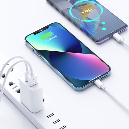 WiWU Quick 20W PD  Fast Charger with Type-C to Lightning Cable - White  (1106947)