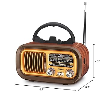 FOL Small Retro Vintage Radio Bluetooth, Portable Radios AM FM Transistor, D Battery Operated Radio/USB Rechargeable Radios, TWS, Support TF Card/USB Playing  (1103037) (MSRP 38.99)