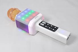 Karaoke microphone wster WS 1828 original, wireless Karaoke Speaker mic with LED color music and voice change - Red (1105536)